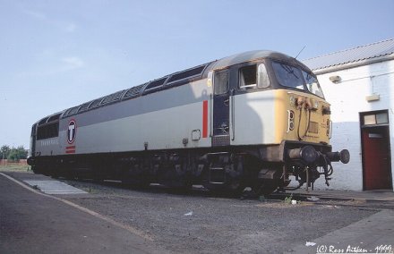 Click HERE to ENTER the Class 56 diesel loco photo gallery