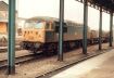 Click HERE for full size picture of 56013
