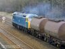 Click HERE for full size picture of 56006
