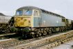 Click HERE for full size picture of 56019